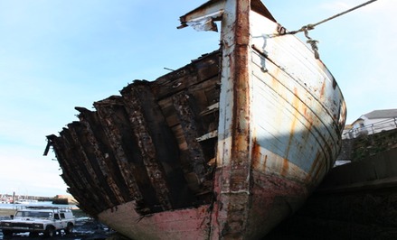 IMG_0253